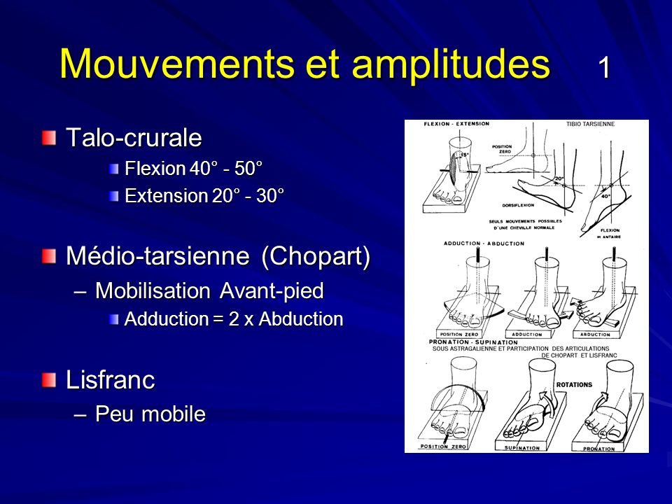 Examen clinique de la cheville et du pied ppt video online